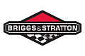 Briggs & Stratton